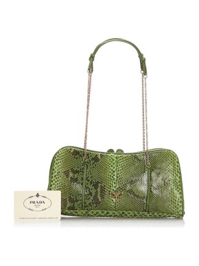 Prada Python Chain Shoulder Bag