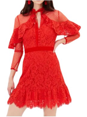 Perseverance Anemone Lace Mini Dress in Red