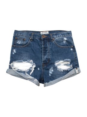 One X One Teaspoon Blue Distressed Denim Shorts