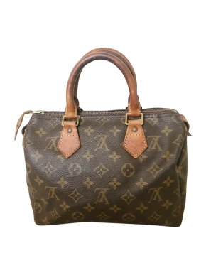Louis Vuitton Monogram Speedy 25 Bag