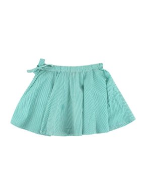 Caramel Mint Green Striped Skater Skirt