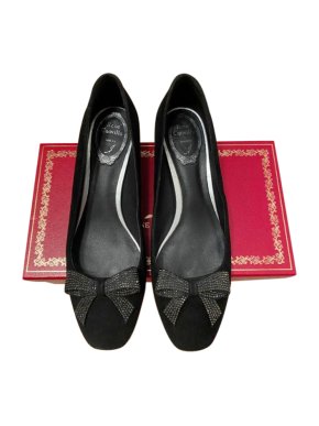 Rene Caovilla Crystal Bow & Heel Pumps