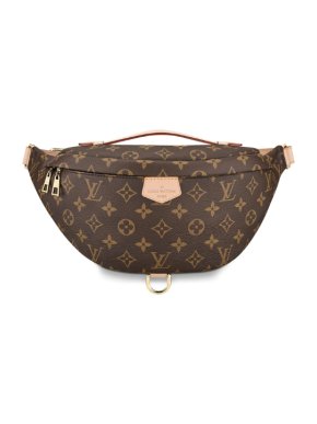 Louis Vuitton Monogram Belt Bag