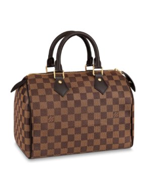 Louis Vuitton Damier Ebene Speedy 25