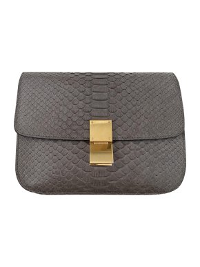Celine Grey Python Medium Classic Box Bag