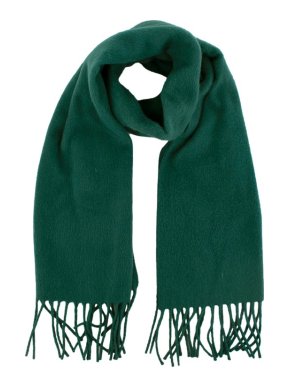 Ermenegildo Zegna Green Cashmere Scarf