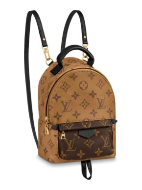Louis Vuitton Monogram Reverse Palm Springs Mini Backpack