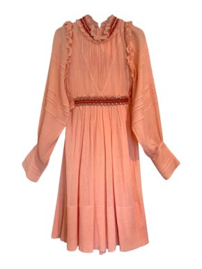 Chloe Pleated Coral Embroidered Dress