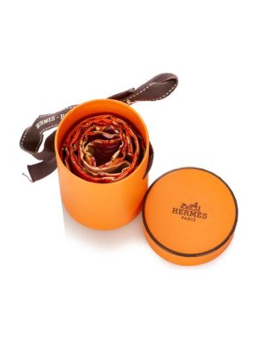 Hermes Orange Printed Twilly Silk Scarf