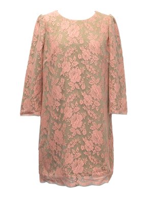 Whistles Nude & Pink Lace Long-Sleeve Dress