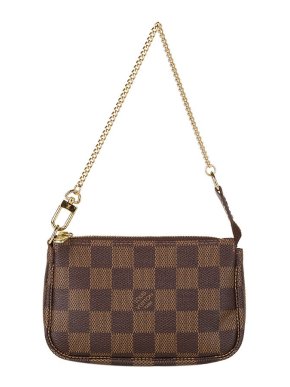 Louis Vuitton Damier Ebene canvas Pochette Accessoires bag