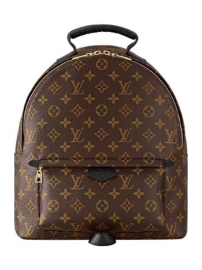 Louis Vuitton Monogram Palm Springs MM Backpack