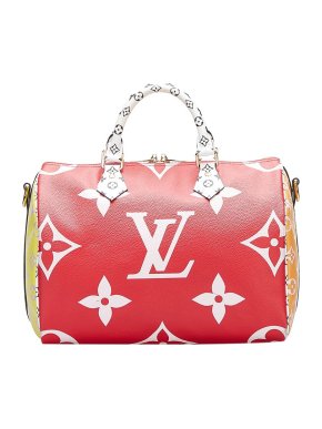 Louis Vuitton Monogram Giant Speedy Bandouliere 30