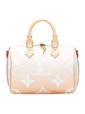 Louis Vuitton Monogram Giant By The Pool Speedy Bandouliere 25