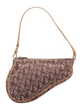 Dior Oblique Canvas Mini Saddle Bag