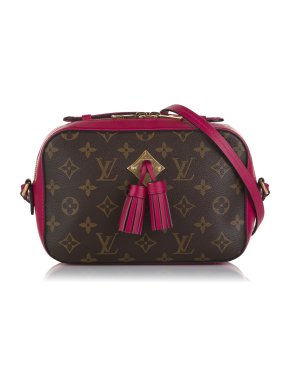 Louis Vuitton Monogram Saintonge Crossbody Bag