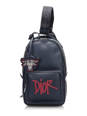 Dior x Shawn Stussy Year of the Ox Sling Bag