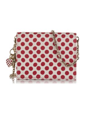 Lady DiorAmour Cardholder with Chain
