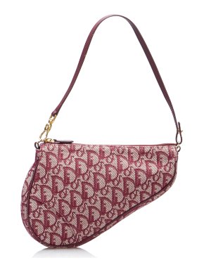 Dior Oblique Canvas Mini Saddle Bag