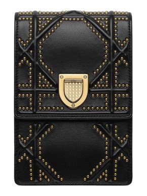 Diorama Vertical Clutch Bag