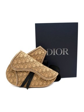 Dior x Peter Doig Gold Embroidered Oblique Saddle Crossbody Bag