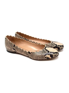 Chloe Lauren Scalloped Snake Printed Ballet Flats