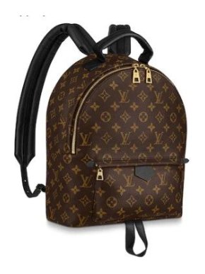 Louis Vuitton Monogram Palm Springs MM Backpack