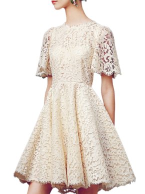 Dolce & Gabbana Cream Lace Skater Dress
