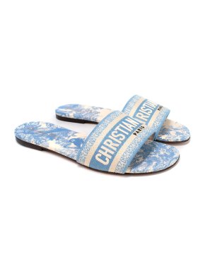 Dior Blue Toile De Jouy Dway Slides