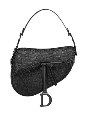 Dior Saddle Braided Leather Strips Bag