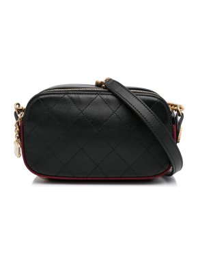 Chanel Double Zip Calfskin Camera Bag