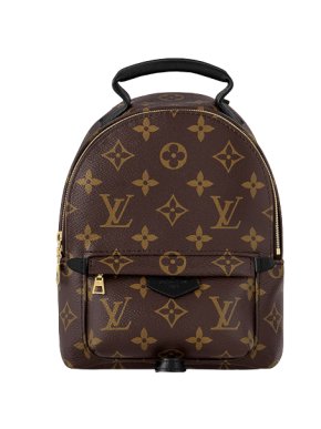 Louis Vuitton Monogram Palm Springs Mini Backpack