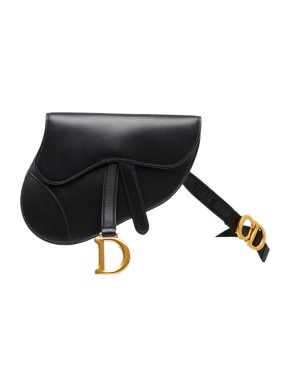 Dior Saddle Leather Belt Bag