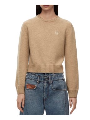 Loewe Camel Anagram Cropped Embroidered Wool-blend Jumper
