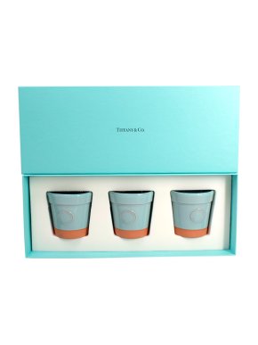 Tiffany & Co Everyday Objects Set of 3 Terracotta Mini Flower Pots