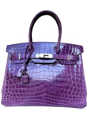 Hermes Birkin 30 Retourne in Anenome Crocodile Niloticus with Palladium Hardware
