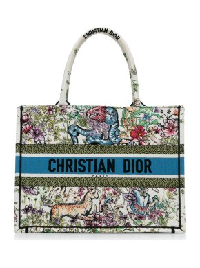 Dior Multicoloured Medium  D-Constellation Book Tote