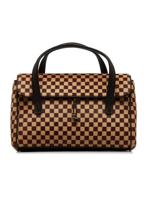 Louis Vuitton Damier Sauvage Lionne