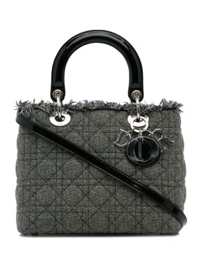 Dior Grey Canvas Medium Lady Dior