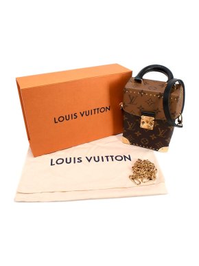 Louis Vuitton Camera Box Brown Reverse Monogram Shoulder Bag