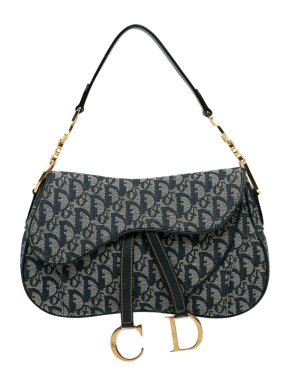 Dior Oblique Double Saddle Bag