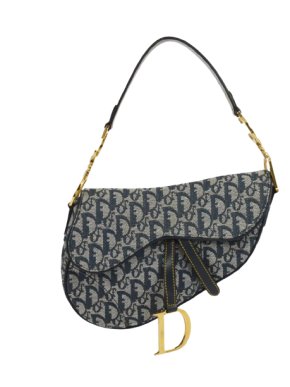Dior Medium Oblique Saddle Bag
