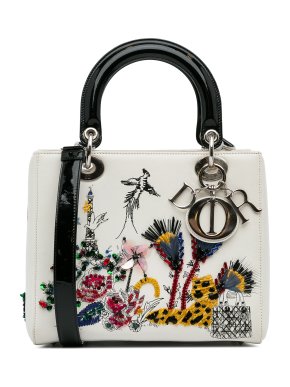 Dior Medium Eiffel Tower Embroidered Lady Dior