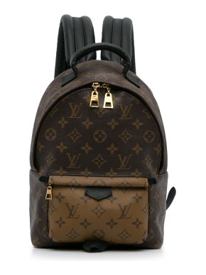 Louis Vuitton Monogram Reverse Palm Springs PM