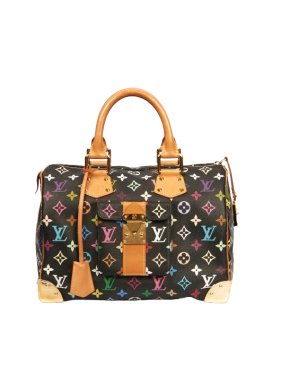 Louis Vuitton Murakami Monogram Multicolore Speedy 30