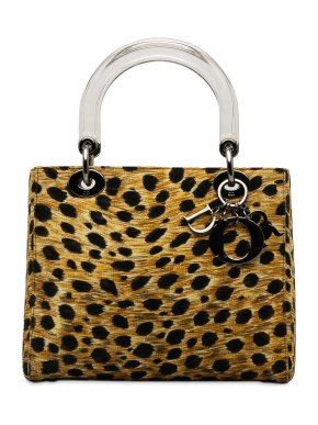Dior Leopard Print Medium Lady Dior