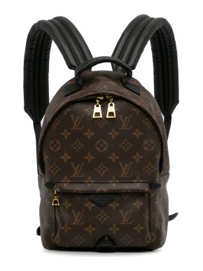 Louis Vuitton Monogram Palm Springs PM Backpack