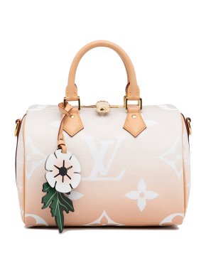Louis Vuitton Monogram Giant By The Pool Speedy Bandouliere 25