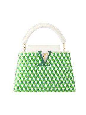 Louis Vuitton Green & White Embroidered Taurillon Mini Capucines Bag