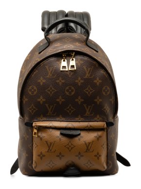 Louis Vuitton Monogram Reverse Palm Springs PM Backpack